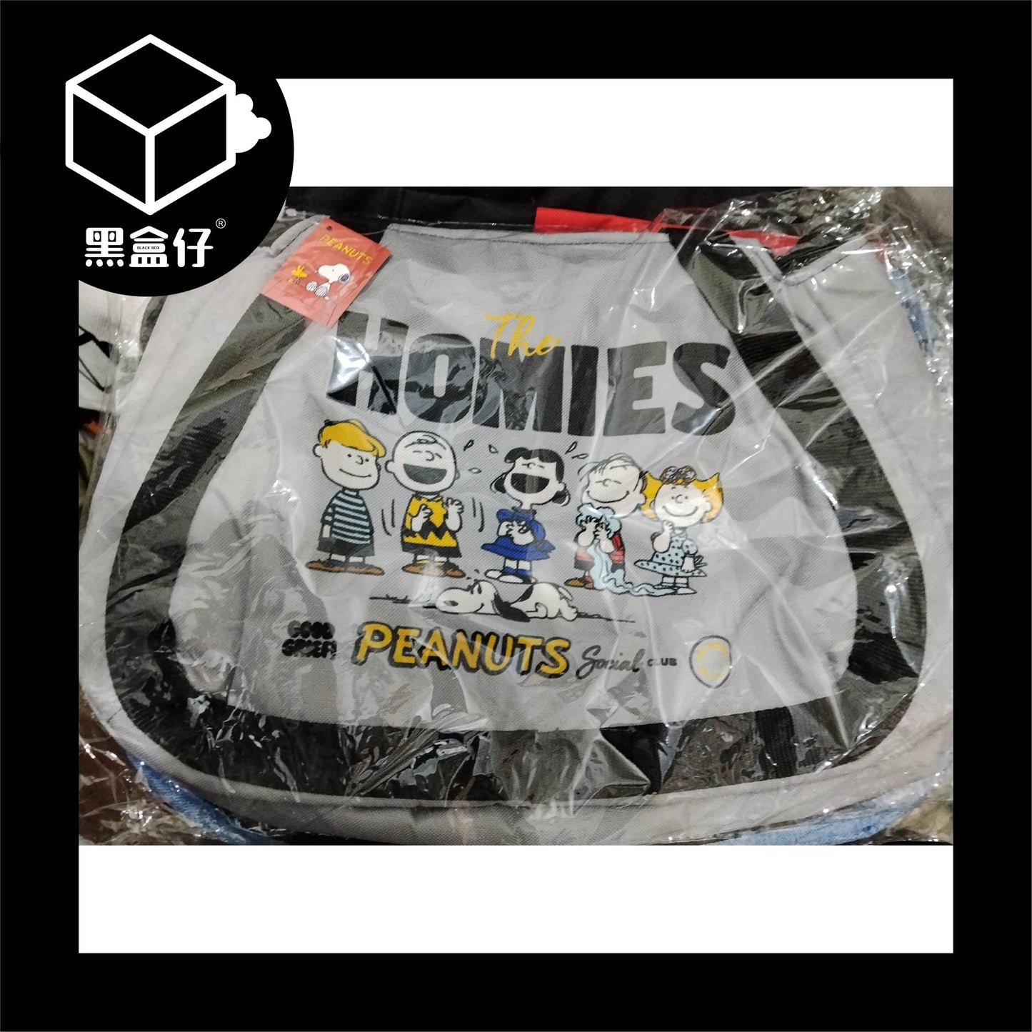【黑盒仔】史努比-大容量保溫袋
