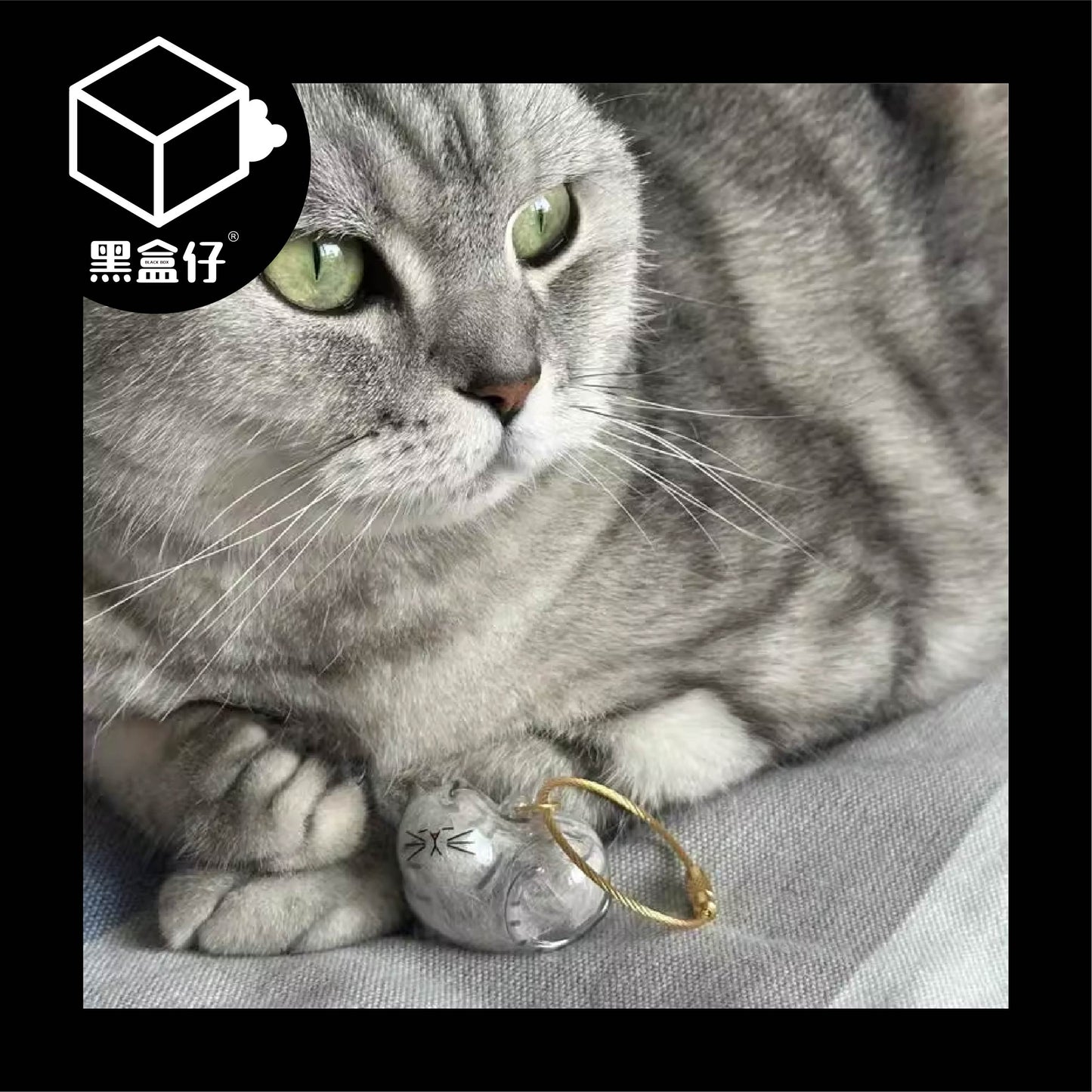 【黑盒仔】日本BRIGHT LINK-透明猫毛存放收納盒吊飾(無免運)
