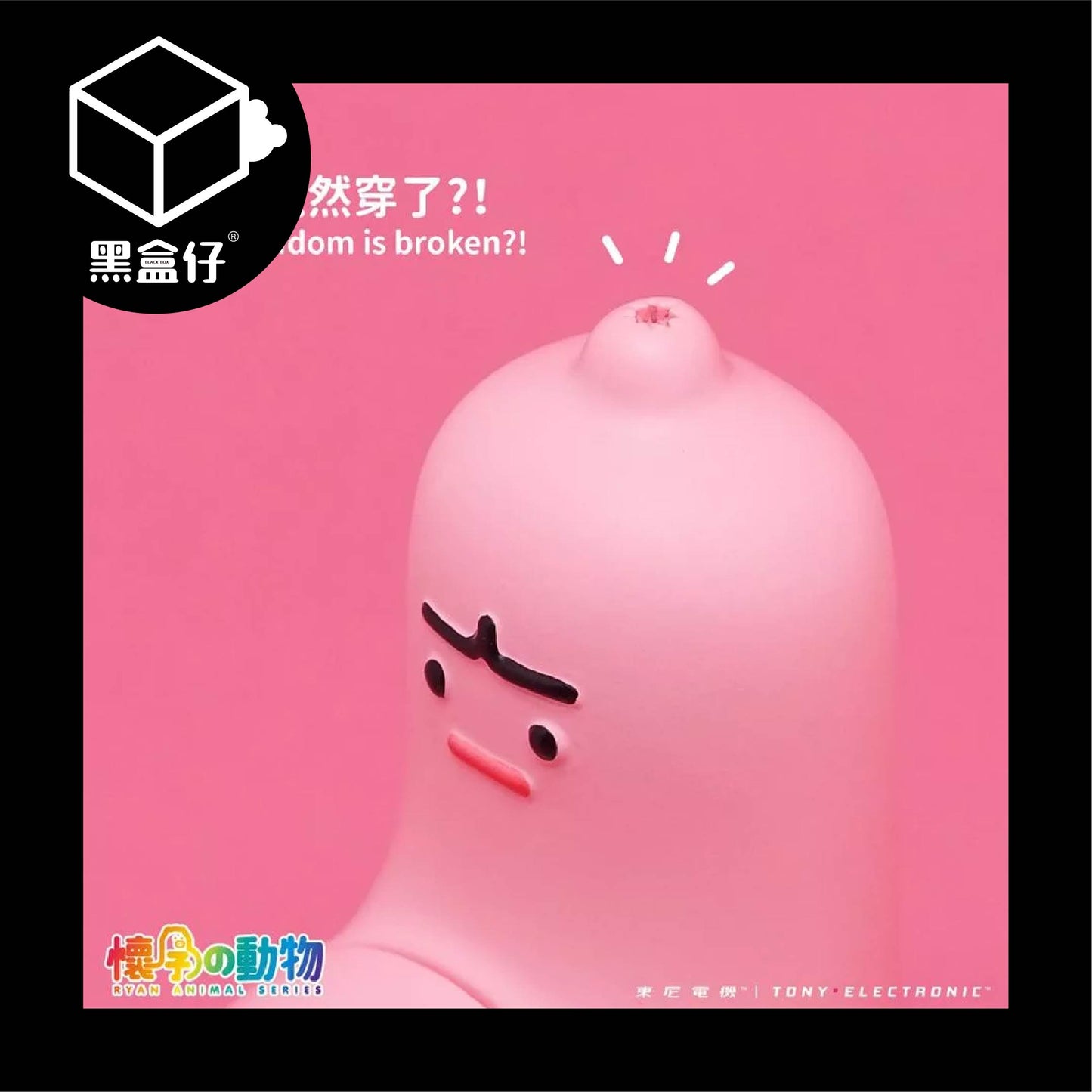 【黑盒仔隱藏版】懷孕的動物-懷孕避孕套(龍鳳胎)