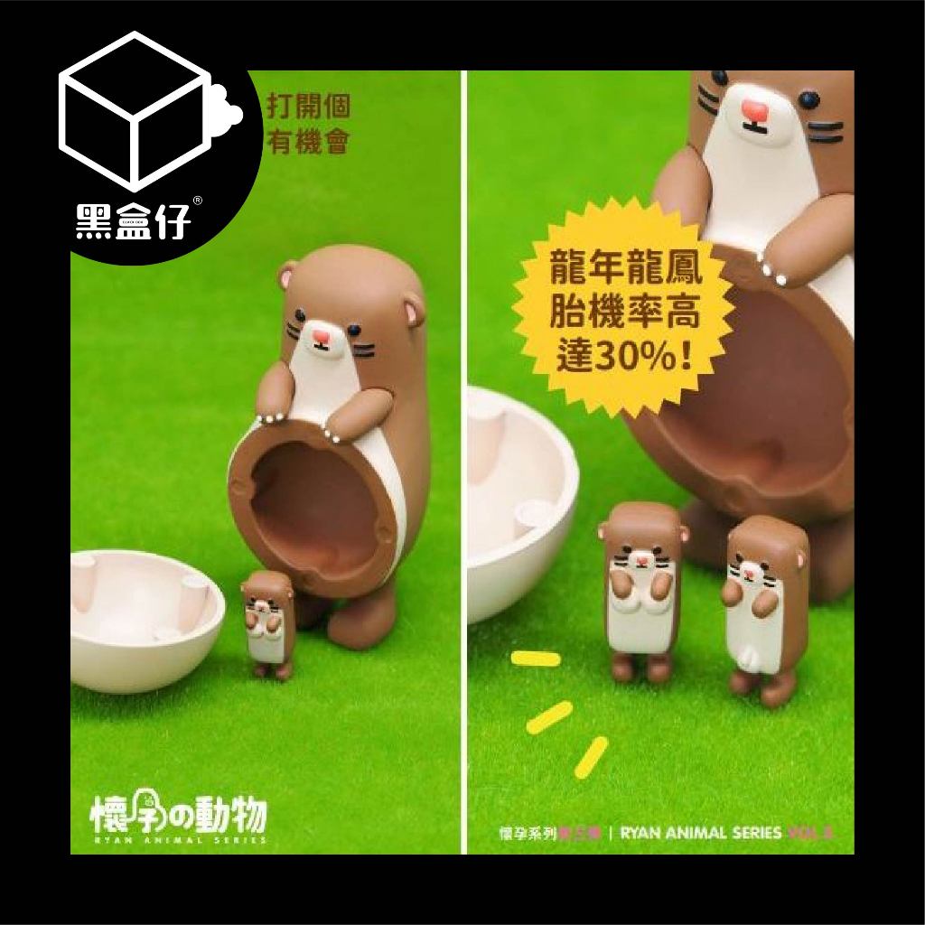 【黑盒仔】懷孕的動物系列-第三彈/第三代