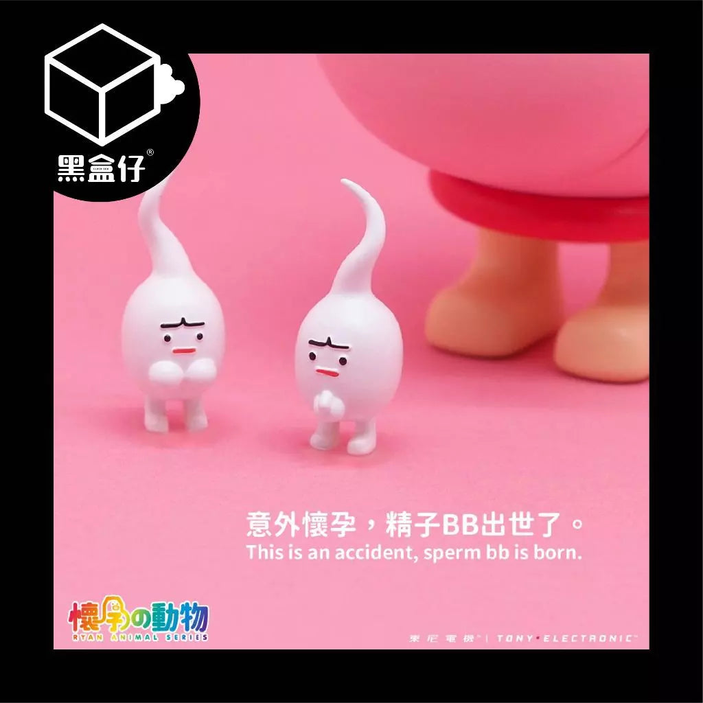 【黑盒仔隱藏版】懷孕的動物-懷孕避孕套(龍鳳胎)
