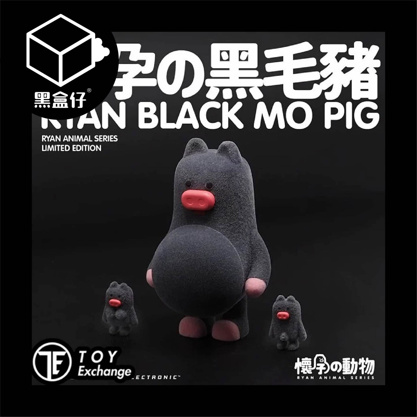 【黑盒仔隱藏版】懷孕的動物-黑毛豬系列(已絕版)