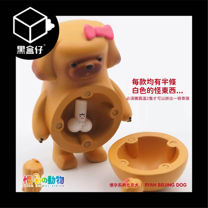 【黑盒仔隱藏版】懷孕的動物-北京犬/獅子犬系列(已絕版)