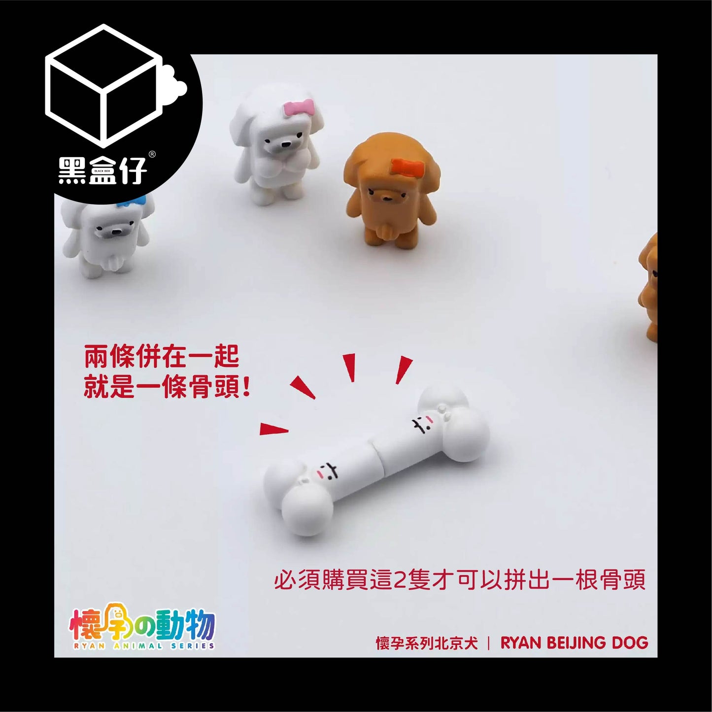 【黑盒仔隱藏版】懷孕的動物-北京犬/獅子犬系列(已絕版)