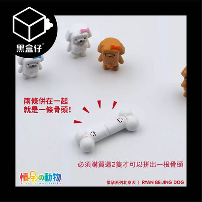 【黑盒仔隱藏版】懷孕的動物-北京犬/獅子犬系列(已絕版)