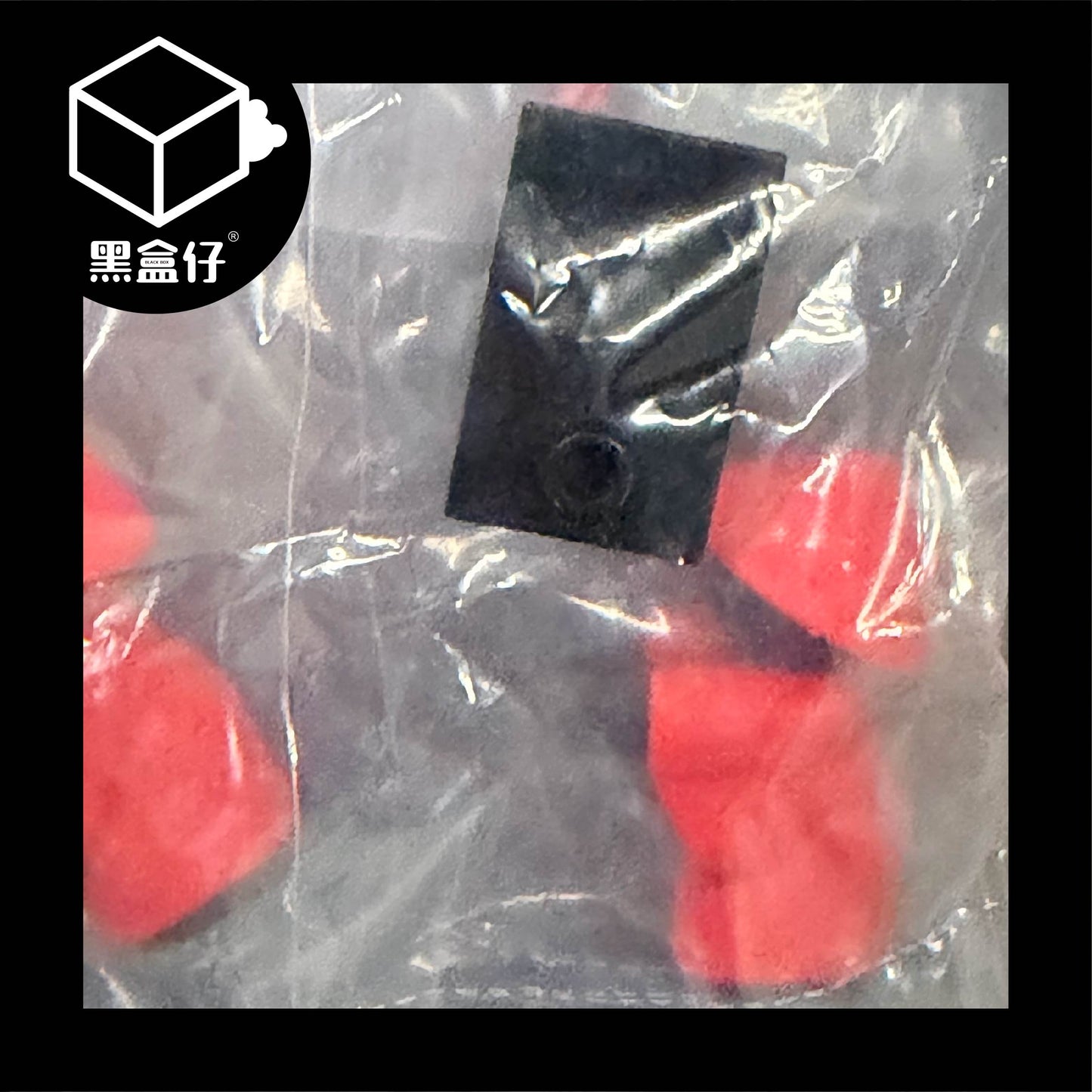 【黑盒仔隱藏版】後宮甄嬛傳系列-抬轎人（已絕版）