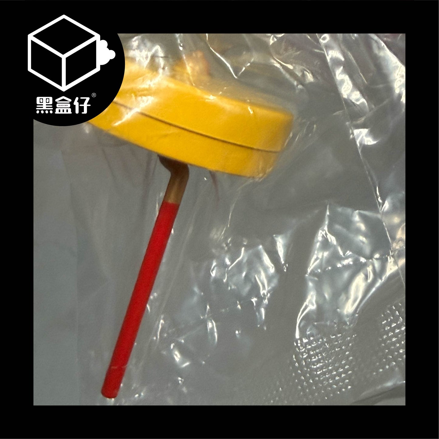 【黑盒仔隱藏版】後宮甄嬛傳系列-抬轎人（已絕版）