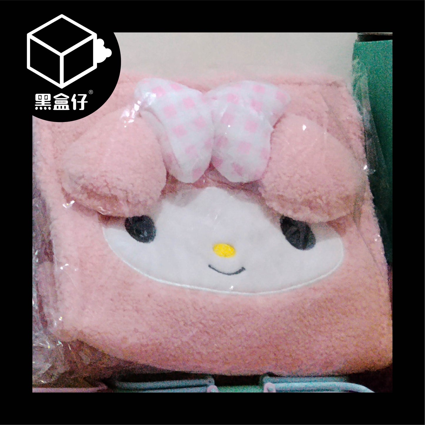 【黑盒仔】SANRIO三麗鷗家族-毛絨造型包袋