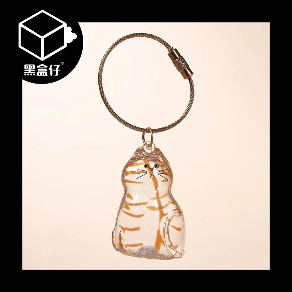 【黑盒仔】日本BRIGHT LINK-透明貓毛存放收納盒吊飾