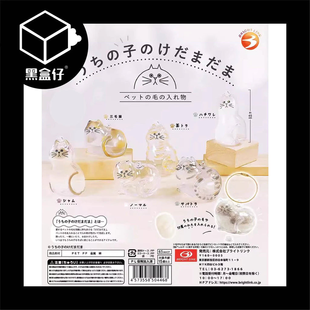 【黑盒仔】日本BRIGHT LINK-透明貓毛存放收納盒吊飾