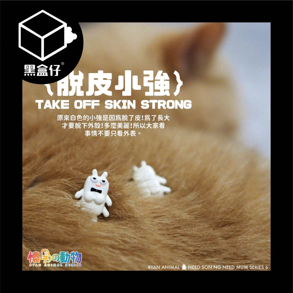 【黑盒仔】懷孕的動物系列-毛孩小強BB系列盲盒