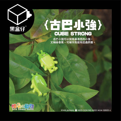 【黑盒仔】懷孕的動物系列-毛孩小強BB系列盲盒(龍鳳胎)