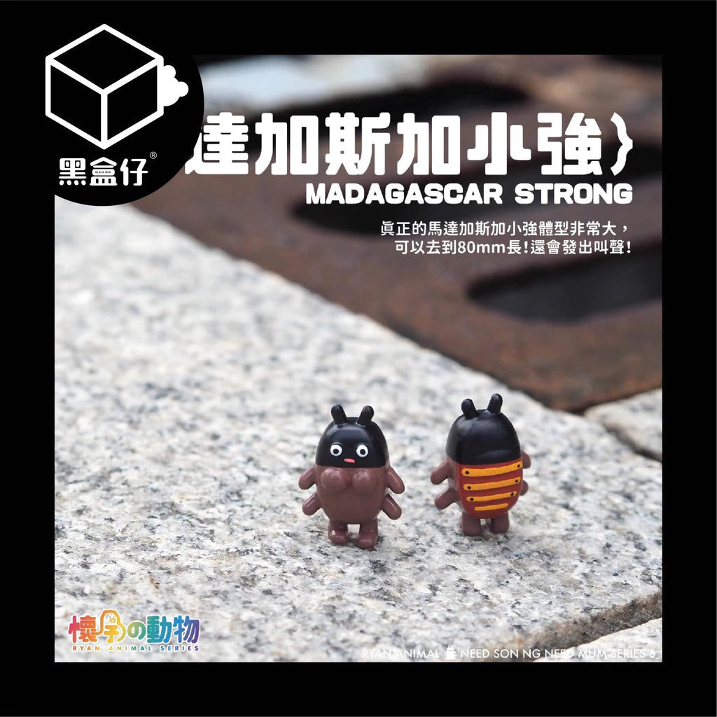 【黑盒仔】懷孕的動物系列-毛孩小強BB系列盲盒