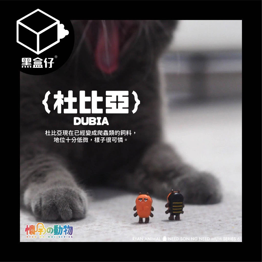 【黑盒仔】懷孕的動物系列-毛孩小強BB系列盲盒