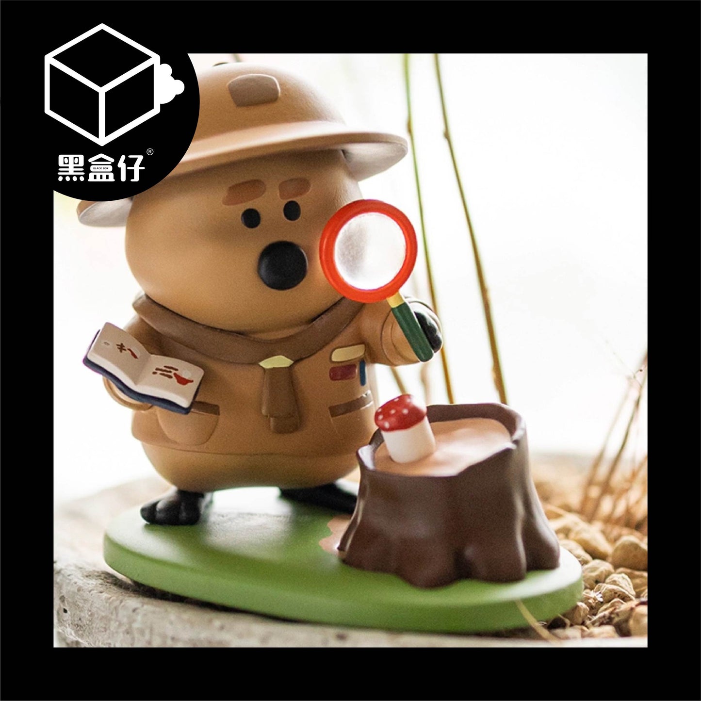 【黑盒仔】DINOTAENG呆萌町-QUOK SCOUT露營系列